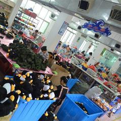 Verified China supplier - Foshan Nanhai Shengzhuo Toys Factory