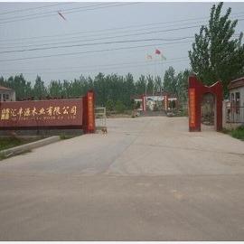 Verified China supplier - Cao County Huifengyuan Wooden Co., Ltd.