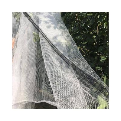 China Hot Sale Agricultural Greenhouse Plastic Mesh Anti-insect Net For Vegetable Fruit for sale