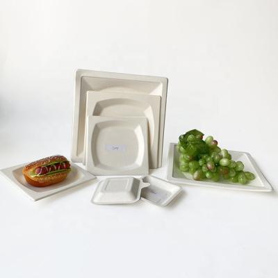 China Disposable Food Use 100% Biodegradable Sugarcane Bagasse Square Tableware for sale