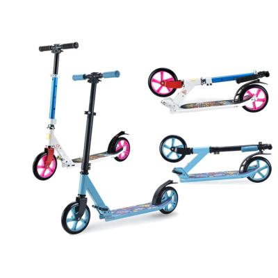 China Custom 2 Wheels New 10 Inch Teens Kick Off Road Foldable Aluminum Adult Kick Scooter Escuter China Factory Direct Selling Walking Scooter for sale