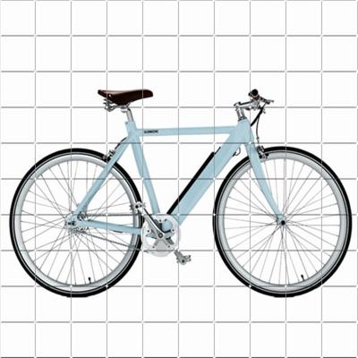 China Concise Single Road Running Type Ebike Electric Speed ​​Pedelec for sale