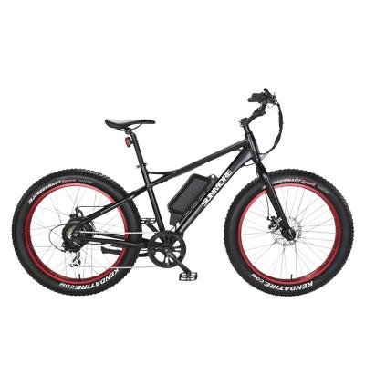 China Wholesale Good Quality Motor Running Type Rear Hub Electric Snow Ebike for sale