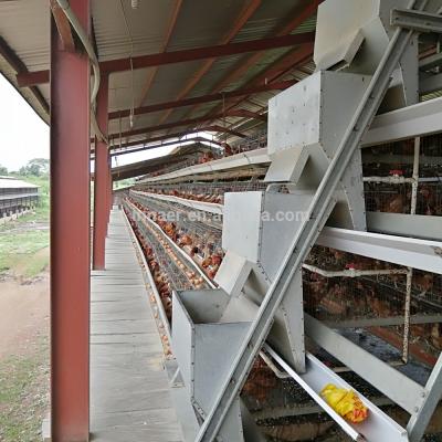 China INNAER Farms Poultry Farm Project Case for sale