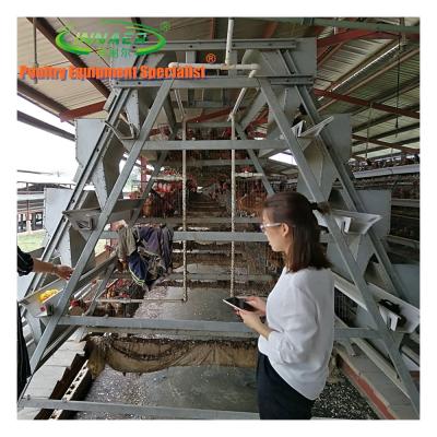 China Chicken Farm Used Chicken Layer Cage For Automatic Layer Cage System for sale