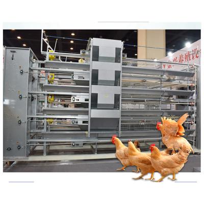 China Easy Install Broiler Cage For Poultry Broiler Battery Cages for sale