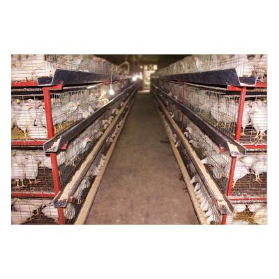 China Farms Can Be Customized To Sample Broiler Cage For Poultry Farm for sale