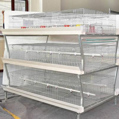 China Easily Clean Broiler Cage / Small Chick Cage Cage For Chicken Farm for sale