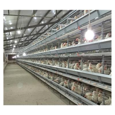 China Fully Automatic Chicken Farm 10000 H Type Chicken Layer Chicken Farm Cage for sale