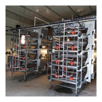 China Chicken Farm 10000 Chicken Cage Layer Chicken Farm and Chicken Cage for sale