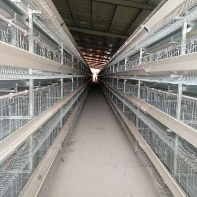 China Chicken farm chicken layer cage in turkey, cage Philippines, full automatic chicken layer laying cage for sale