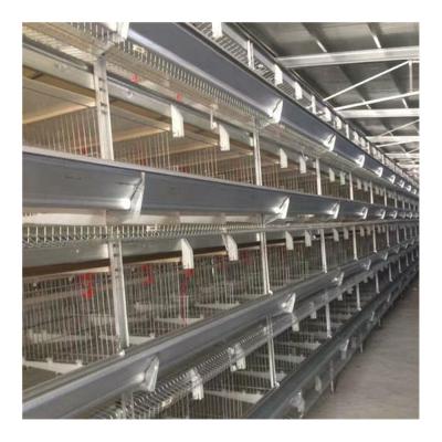 China Chicken Farm Animal Chicken Cage, Automatic Cage Chicken, Automatic Battery Cage System For Chickens for sale