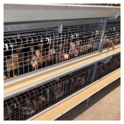 China High quality chicken farm hot dip galvanizing with large capacity broiler cage for sale for sale