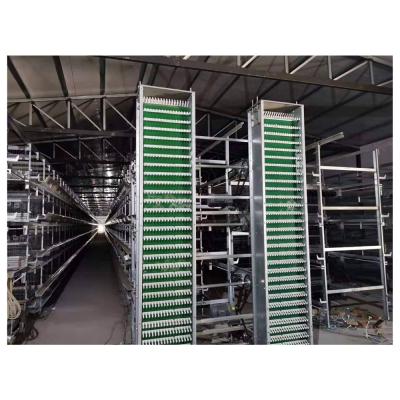 China Chicken Farm A And H Type Broilers Breeding Automatic Cage for sale