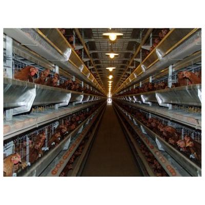 China chicken farm chicken layer cage price in india poultry chicken cage for sale