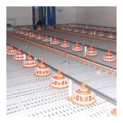 China Easy Install 5000 Broiler Automatic Feeding Line And Nipple Drinking System for sale