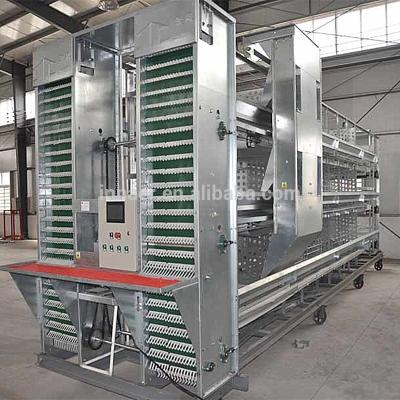 China Easy Install Automatic Poultry Equipment Egg Collecting Equipment For Layer Cage for sale