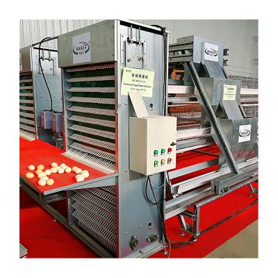 China Easy Install Laying Hens Cages And Egg Collecting Equipment For Egg Poultry Farm for sale