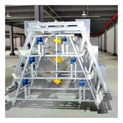 China Easy Install Egg Chicken House Design For Automatic Layers Egg Collecting Equipment for sale