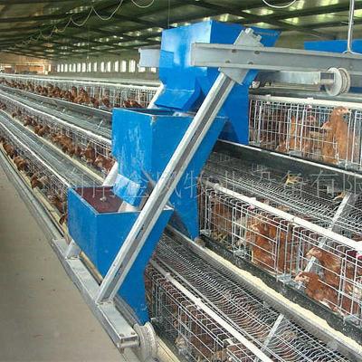 China Easily Install New Types Automatic Chicken Feeder Machine For 4tier Chicken Cage for sale