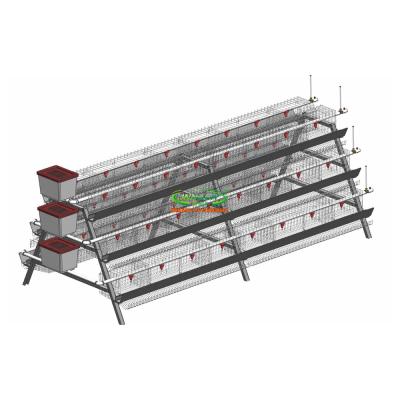 China INNAER Durable Automatic Poultry Feed Machine for Chicken Farm (3-6tier) for sale