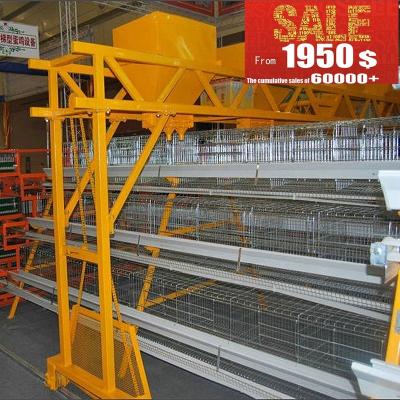 China Easy Install Automatic Feeder Machine Of Battery Cages Laying Machines for sale