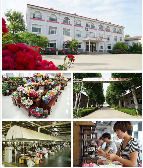 Verified China supplier - Qingdao Royal Craft Co., Ltd.