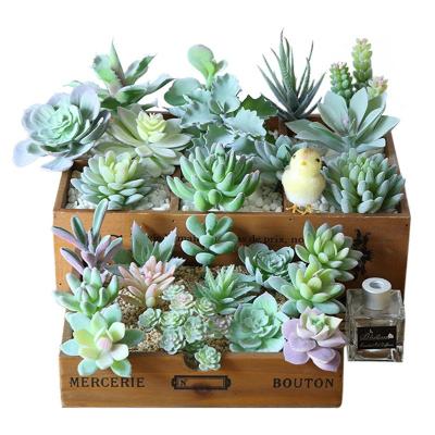 China Various DIY Waterproof Mini Fake Succulent Plants, Artificial Succulent Plants For Home Decoration for sale