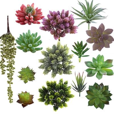 China Hot Sale DIY Mini Artificial Succulents Potted Succulents Waterproof Plants Bonsai In Different Type Different Size Succulents for sale