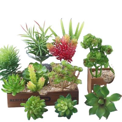 China Mini Simulation Potted Plant Waterproof Succulent Green Plants Various Shape Low Price DIY Plastic Plant Succulent for sale