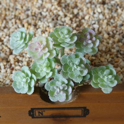 China DIY Potted Plant Mini Simulation Green Plants Waterproof Succulent Shape Plastic Fake Succulent Plants Various for sale