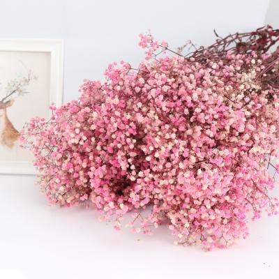 China Natural Touch Dried Flowers Bridal Bouquet Preserved Babies Breath For Wedding Decoration for sale