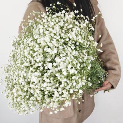 China Wholesale Fashional S-H52 Wedding Decoration Artificial Gypsophila Baby's Breath Flower Real Color Artificial White Touch for sale