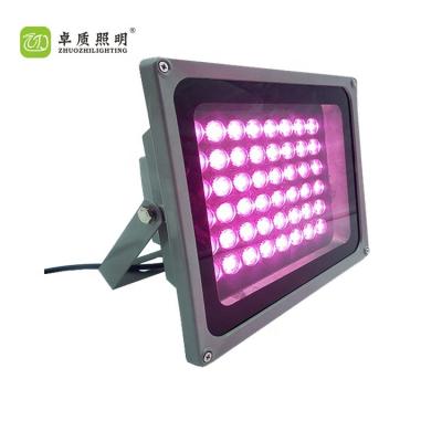 China Waterproof Theme Park Decorative High Power LED Multicolor Flood Light for sale