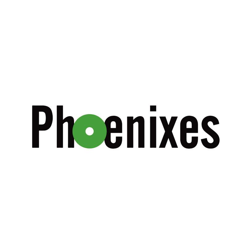 Verified China supplier - PHOENIXES MULTI SOLUTIONS INC.