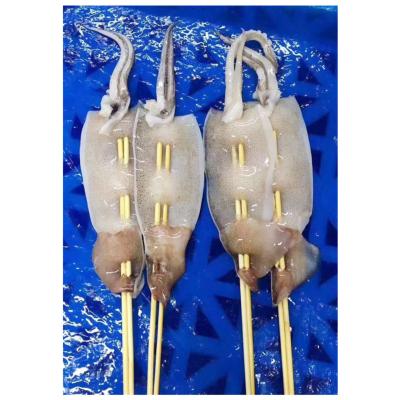 China Nutritious small size frozen squid skewers bulk packing for export for sale