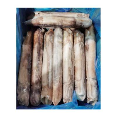 China IQF Nutritious Fresh Frozen Whole Cleaned Squid For Sale for sale