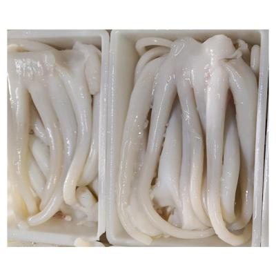 China BQF Nutritious High Quality Frozen Squid Tentacle Skin for sale