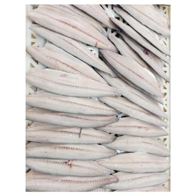 China Good Vitamins Quality IQF Spanish Mackerel Frozen Skinless Fillet for sale