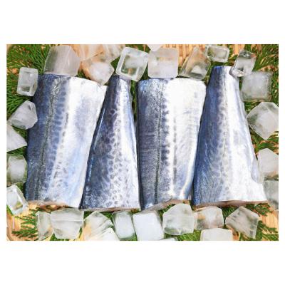 China Good Vitamins Quality IQF Spanish Mackerel Fish Fillet Frozen Cuts for sale