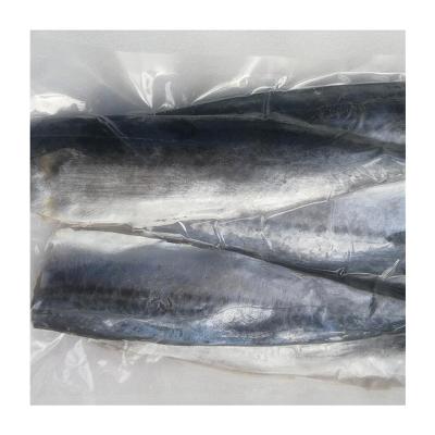 China High Quality Vitamins IQF Spanish Mackerel Fish Belt For Export for sale