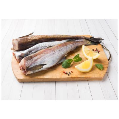 China Vitamins Good Quality Hg Alaska Yellow Whiting Frozen Fish for sale