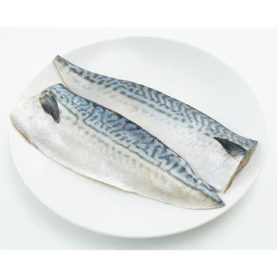 China Best Selling Boneless Pacific Fish Fillet IQF Mackerel Vitamins for sale