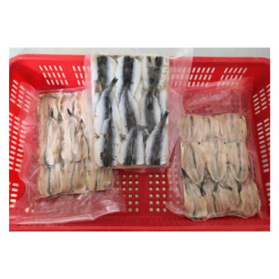 China Good Quality Low Fat Frozen Anchovy Fillet For Processing for sale