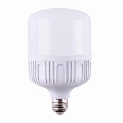 China T50 T60 T70 T80 T100 T115 T120 T135 LED T Bulb Warehouse 165-265V Warm White/Cold White/Natural White Light Bulb With CE ROHS Certificate for sale