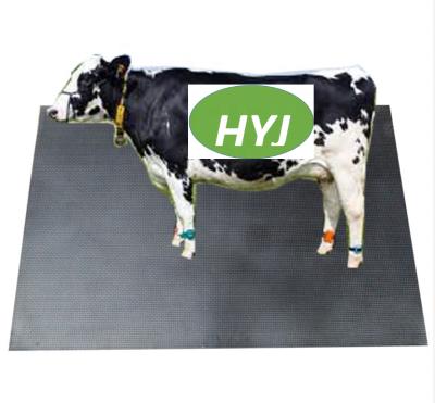 China Durable Durable Rubber Compartment Mats Farming From China Dairy Cattle Compartment Flooring Manufacture for sale