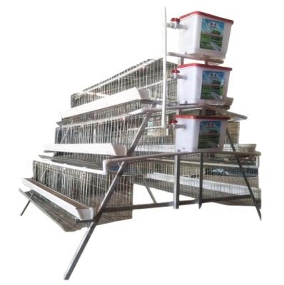 China Full Automatic Chicken Layer Cage Used In Poultry Farm for sale