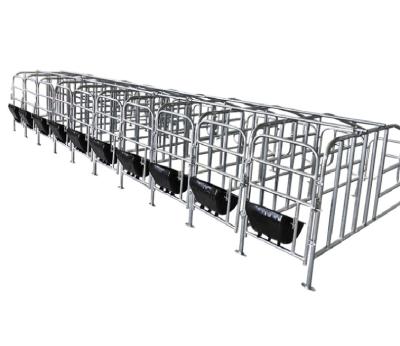 China Farms China Provides Best Selling Pen Sow Stall Galvanized Pig Box Pigs Gestation Crates for sale