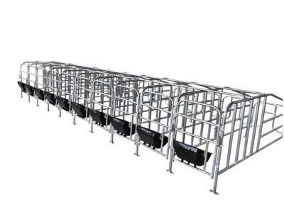 China Farms Customized High Quality Pig Farm Gestation Pens For Sow Gestation Box Young Pig Feed for sale