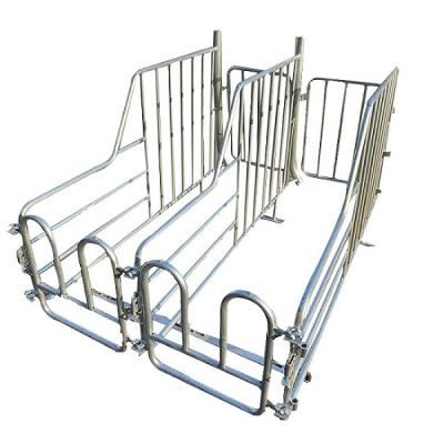 China Farms Pig House Farm Equipment Customized Galvanized Sow Farrowing Stall Farrowing Pen / Farrowing Cage for sale